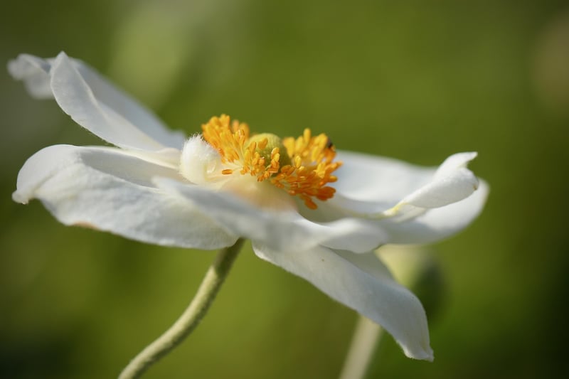Vertical Flower Display